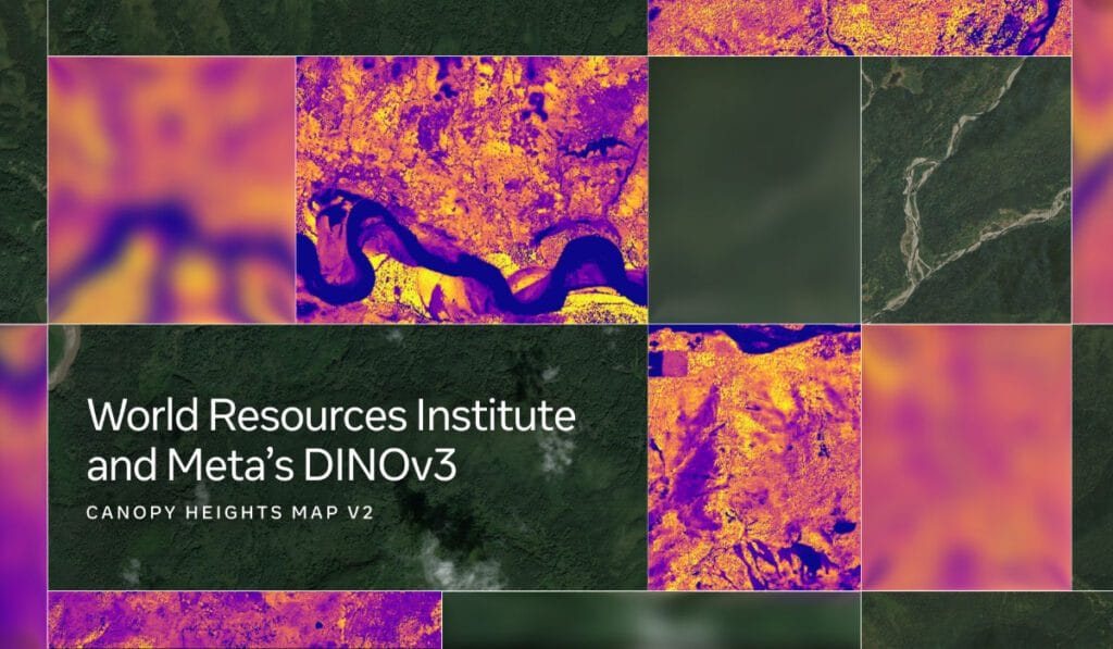 Canopy Height Maps
