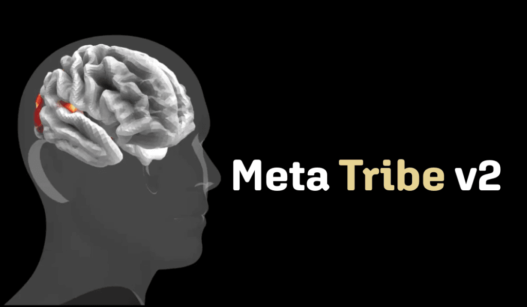 Meta Tribe V2