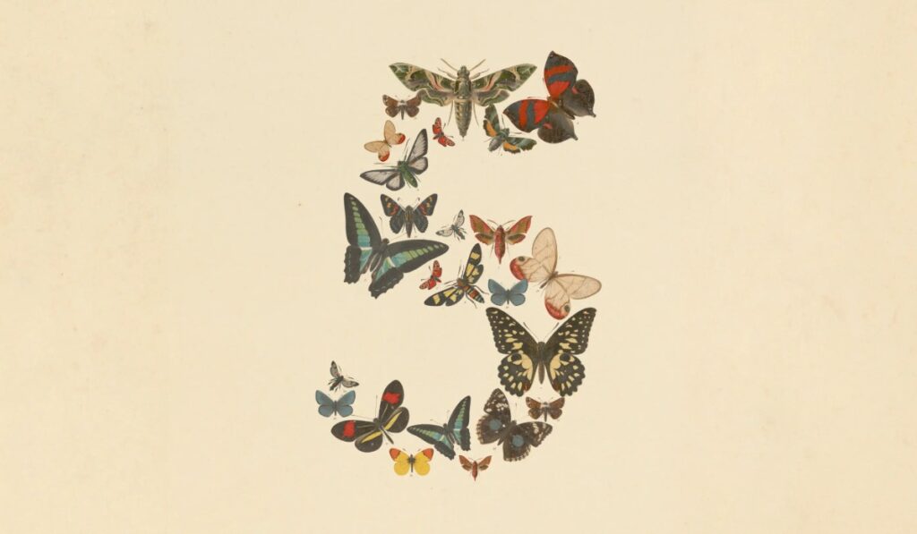 Claude Fable 5