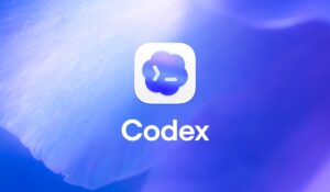 OpenAI Codex ყველა როლისა და ხელსაწყოსთვის